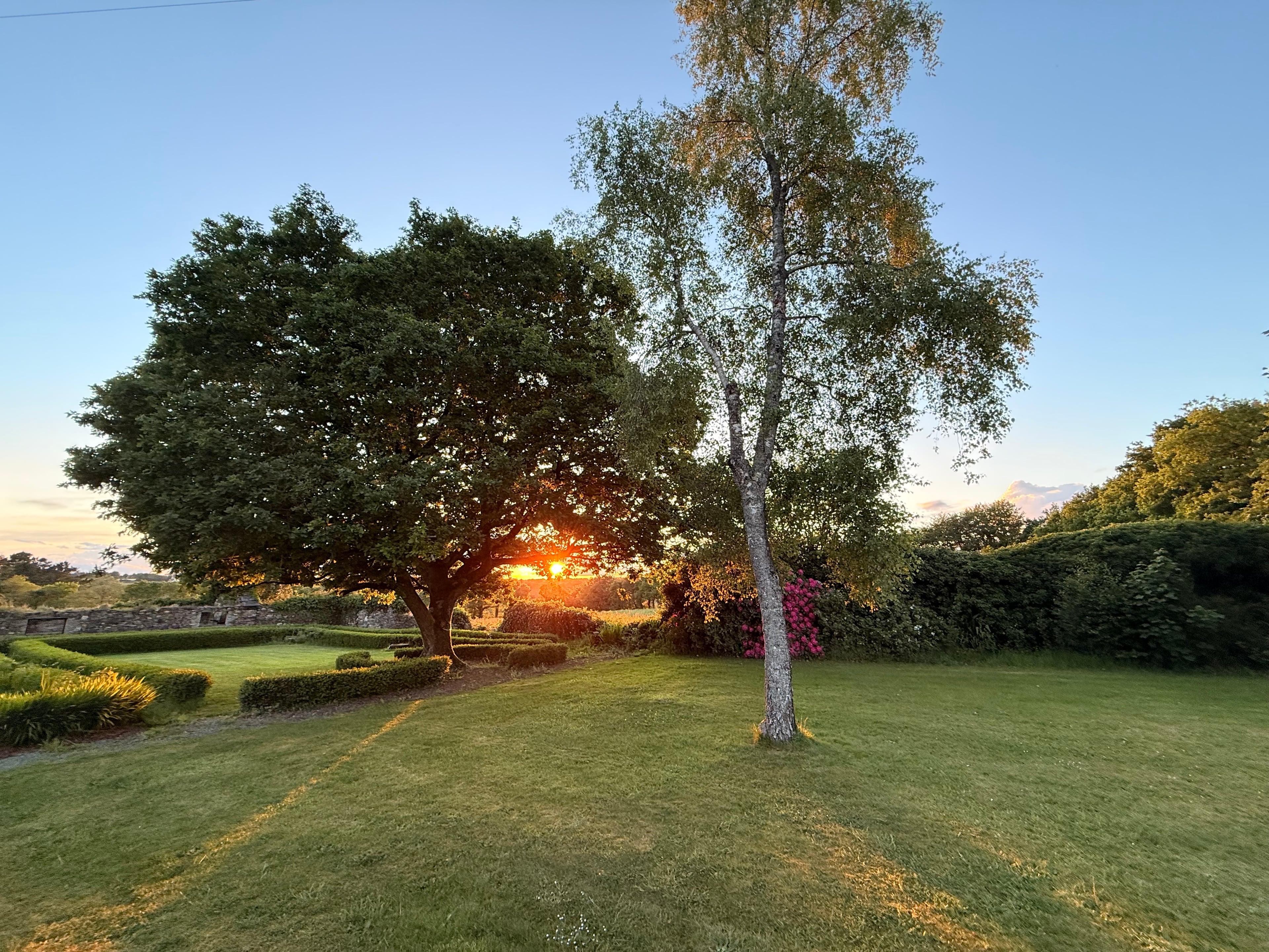 Parc du Gîte de Luzec avec son grand arbre centenaire et ses haies taillées